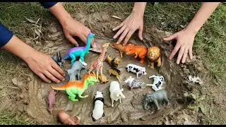 🦒🦓 Muddy Friends! Fun Mud Play and Wash Clean  Educational Video for Kids