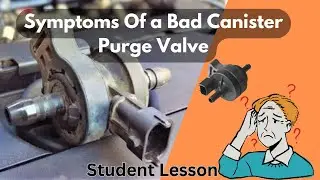 Symptoms Of a Bad Canister Purge Valve
