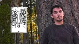 Nine of Pentacles - Upright and Reversed