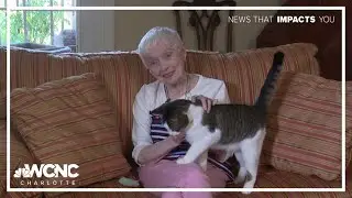 Adopting pets shows paw-sitive health benefits for Charlotte seniors