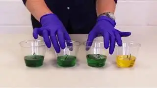 Blue Not Flu - Disease Transmission and Outbreak Investigation Activity - Mucous Swap