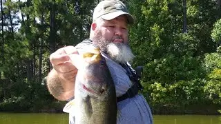 random pond fishing clips