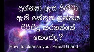 How to cleanse your pineal gland ප්‍රන්න්‍යා අzස (කේතුක ග්‍රන්තිය) පිරිසිදු කරගන්නේ කෙසේද?