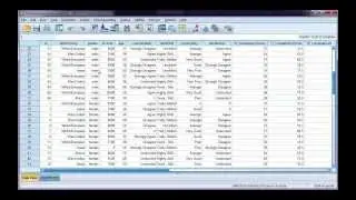 Split your data file by a categorical variable in SPSS