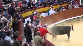 Castellon concurso de anillas 29 3 2014 Ganado Ozcoz