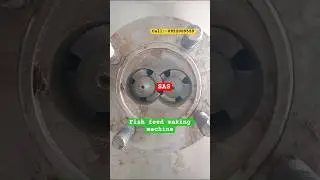 Fish feed making plant, twin screw extruder, #fishfeedmachine #smallbusiness #twinscrewextruder