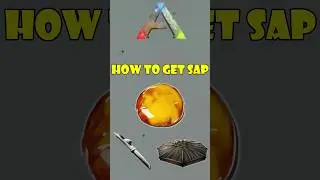 ark sap 🍯
