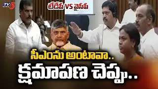 TDP Fires On YSRCP MLC Ramesh Yadav | ap legislative council | Tv5 News