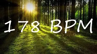 178 BPM Claves Metronome