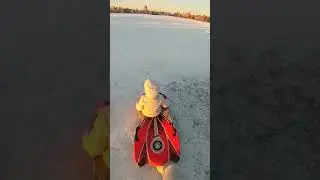 Sled ride in the snow in Edmonton, Alberta, Canada
