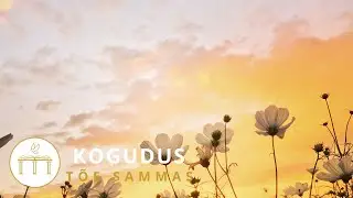 Kogudus T&otilde;e Sammas aastap&auml;eva Jumalateenistus