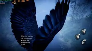 FCPrimal 2025 09 03 13 56 30 130