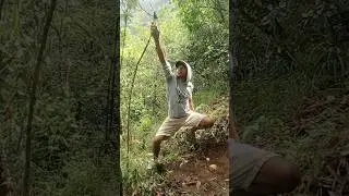 trap #trap #outdoors #bushcraft #survival