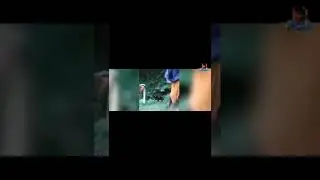 Kudimagans Troll #shorts #shortvideo