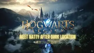 HOGWARTS LEGACY Meet Natty after Dark Location