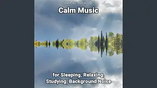 Calm Music for Sleeping and Relaxing Pt. 5