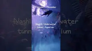 Nashik Underwater tunnel Aquarium#underwateraquarium #cute #instagram #nashik