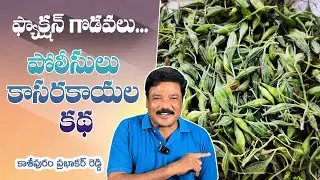 ఫ్యాక్షన్ గొడవలు...పోలీసులు కాసరకాయల కథ  I Kasipuram Prabhakar Reddy