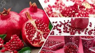 Complete Pomegranate Processing Plant Business Plan Pomegranate Peeling Washing Machine