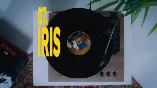 iris - Dib | Focuz