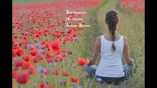 30 minutos de descanso // 30 minutes to disconnect // 30 minuti per riposare