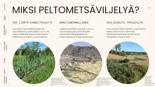 Agroforestry i Nyland: Peltometsäviljelyn Perusteet