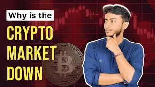 A week of crypto rollercoaster! #CryptoMarketOutlook | Mudrex
