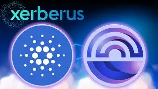 Xerberus Cardano Catalyst Marathon!