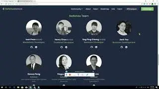 SWITCHEO ICO REVIEW