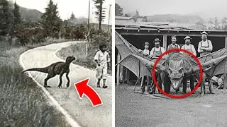 10 ПОСЛЕДНИХ фотографий вымерших животных, когда-либо сделанных.