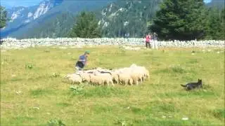 Gruppo di Suisio a Creux du Van (Svizzera), di Steve Jaunin