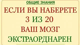 Если вы наберете 3 балла из 20, значит, у вас необыкновенный мозг!