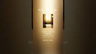 Wo die Liebe hinfällt long