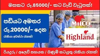 Highland ආයතනයේ පඩියට අමතරව රු. 20000/- දෙන රැකියා ඇබෑර්තු!  - Highland Job Vacancy