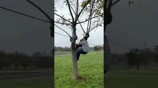 I Climbed A Tree For 10K Like's 🌳