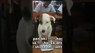 Exam kb hai #public #trendingshorts