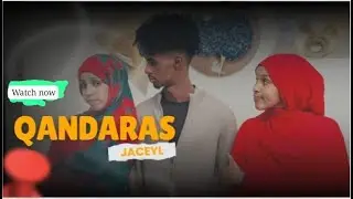 QANDARAAS JACEYL 50