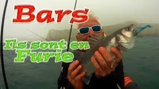 BARS : Ils sont en Fury en Normandie