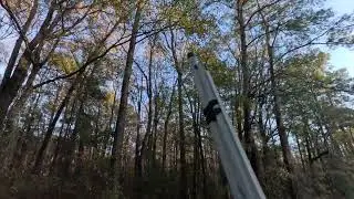 1/1/2026 Bowman, sc  bay hunt part 2