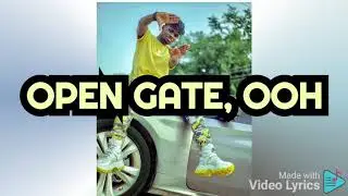 Kuami Eugene - open gate official lyrics video