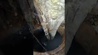 Fresh Toddy Tasting &ndash; A Unique Village Experience!🧉#Toddy #PalmWine #LocalDrink #TraditionalBrew #Vi