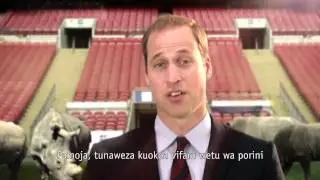 WildAid WBY R WholeWorld HD Commercial