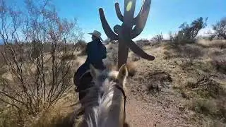 Riding in Arizona - Wild West Horse Adventures