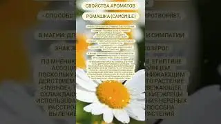 #ромашка #аромапалочки
