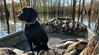 Hunting the TN duck opener '24. Opening Day.