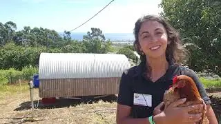 T&eacute;moignage d'Alexia LEFEVRE Projet ST0P Armeflhor - Agrofert'iles Novembre 2022