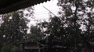 The World's Most Wanted Heavy Rain Sounds, Deep Sleep & Instant Healing.......