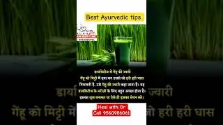Natural treatment for diabetes 😱 | Wheatgrass juice will control sugar levels | #healwithdr