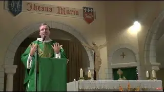 Homélie du 29e dimanche du Temps Ordinaire par le f. Thibaut du Pontavice : Prier sans se décourager