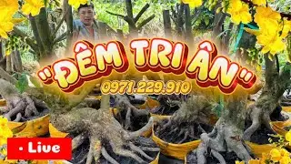 LIVE 🌼19 h 18/01 chỉ một đêm duy nhất truy ân khách hàng 📞0971229910 Liêm